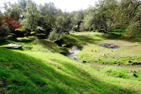 Beautiful Oasis Relax Refresh Tranquil Escape Near Yosemite National Park Villa Mariposa Exterior photo